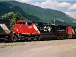 CN 2509